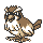 Pidgey